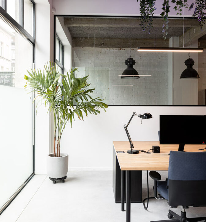 Fixed desk with plant view